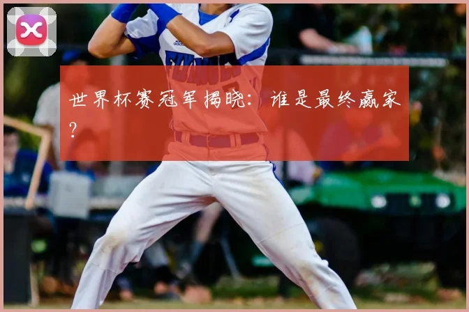 世界杯赛冠军揭晓：谁是最终赢家？