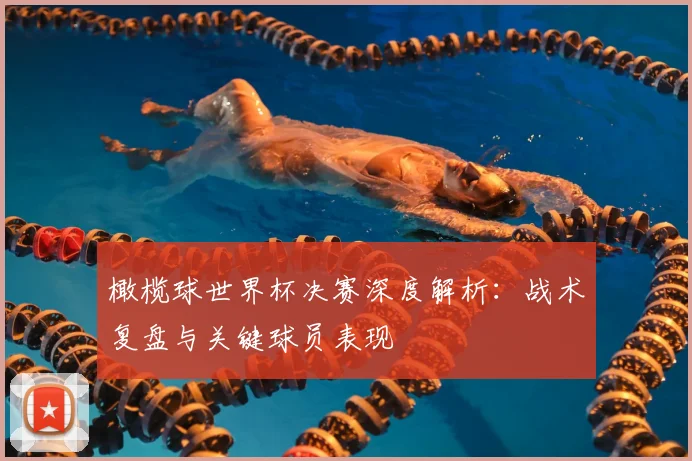 橄榄球世界杯决赛深度解析：战术复盘与关键球员表现