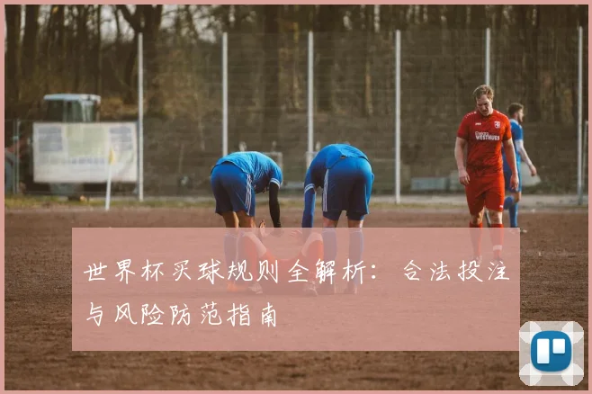 世界杯买球规则全解析：合法投注与风险防范指南