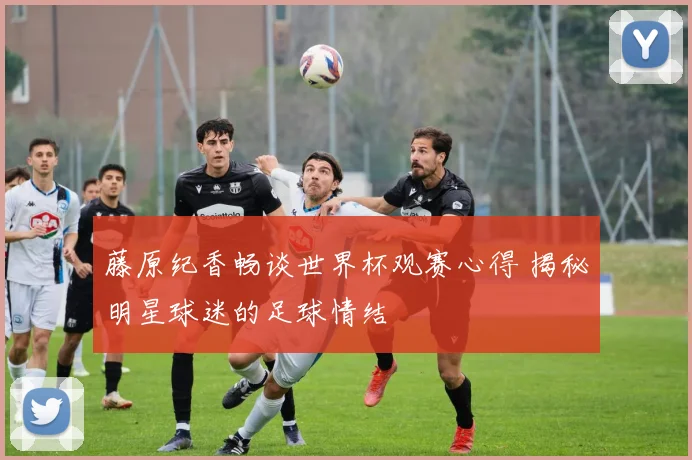 藤原纪香畅谈世界杯观赛心得 揭秘明星球迷的足球情结