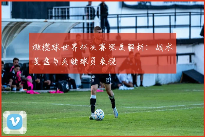 橄榄球世界杯决赛深度解析:战术复盘与关键球员表现