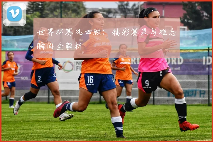 世界杯赛况回顾：精彩赛果与难忘瞬间全解析