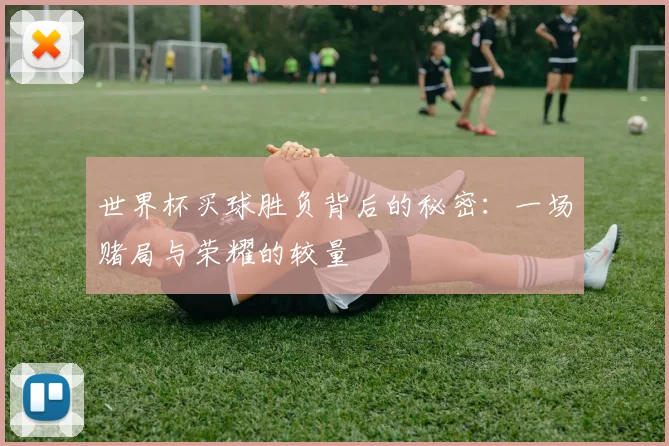 世界杯买球胜负背后的秘密:一场赌局与荣耀的较量
