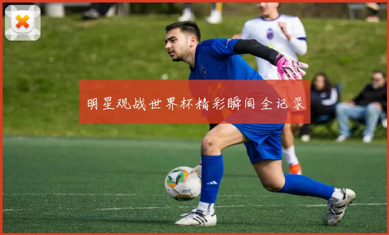 明星观战世界杯精彩瞬间全记录