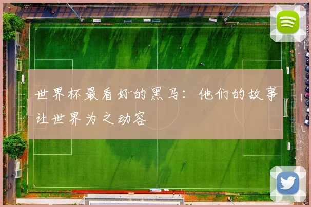 世界杯最看好的黑马：他们的故事让世界为之动容