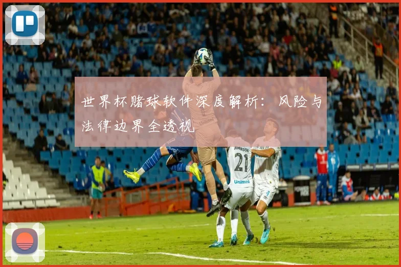 世界杯赌球软件深度解析：风险与法律边界全透视